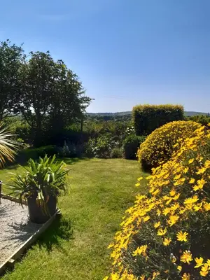 a garden with yellow flowers in the grass at The Shepherd Hut in Carleen