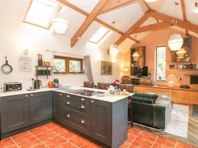 a kitchen and living room with vaulted ceilings at Harvey's House in Helston