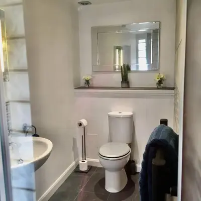a bathroom with a toilet and a sink and a mirror at Wildly Romantic Cliff Top Apartment in Porthleven