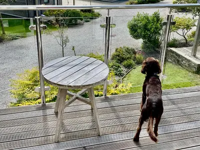 a dog is standing next to a wooden table at Una, Lodge 73 in St Ives
