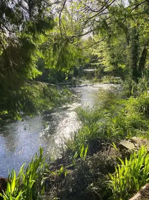 a stream of water with trees and grass next to it at The Artists Studio in Saint Cleer