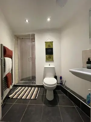 a bathroom with a toilet and a shower at The Loft St Austell in St Austell