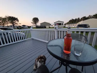 a dog sitting on a deck with a table and a bottle at JL Cornwall Newquay Caravan in Newquay