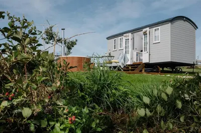a tiny house sitting on top of a field at Shepherds Hut at Chenhall Farm in Helston
