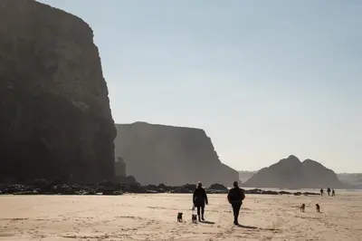 two people standing on a beach with two dogs at Modern Apartment Sea Views Private Parking in Newquay