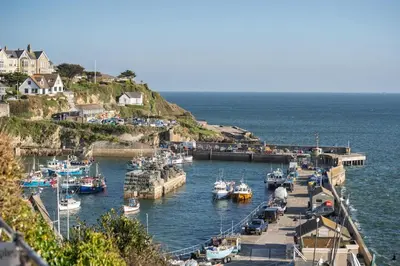 a bunch of boats are docked in a harbor at Spacious Home Private Parking Central Newquay in Newquay