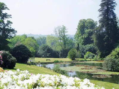 a garden with a pond with flowers in it at Rosecraddoc Manor - Natalie Jane in Saint Cleer