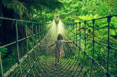 a woman walking across a suspension bridge in a forest at Historic Chapel Great Facilities nr Beaches in Saint Ewe