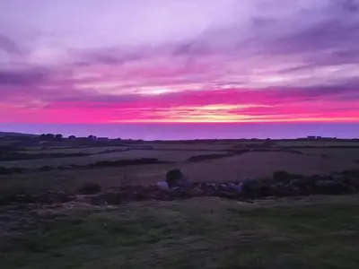 a group of animals laying in a field with a sunset at Cottage Uk48457 in St Ives