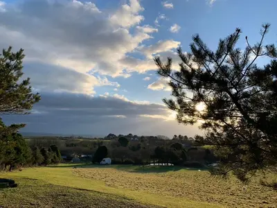 a view of a field with a tree in the foreground at Silverspring Hideaways in Constantine