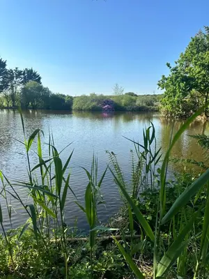 a view of a river with trees and bushes at Greenfinch Lakeside Bell Tent Basic with Airbeds Only in Saint Columb Major