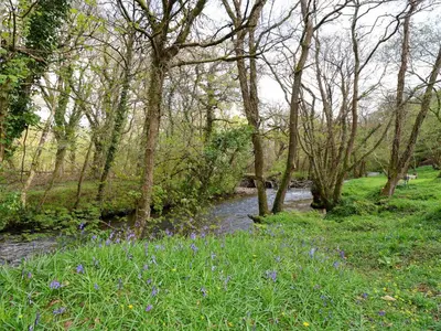 a river in a field with trees and flowers at Jasmine cottage in Liskeard