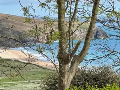 a view of the beach from behind a tree at Family Friendly Apartment above Praa Sands Beach in Praa Sands