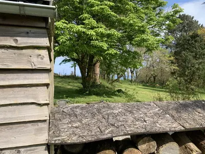 a stack of logs next to a house with a tree at Bream Barn - sea view, woodburner, easy walk to the beach, parking, full kitchen in Falmouth