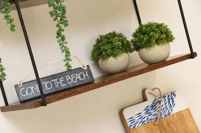 a shelf with three plants and a sign that says come to the beach at Fifty Steps from the beach! in St Merryn
