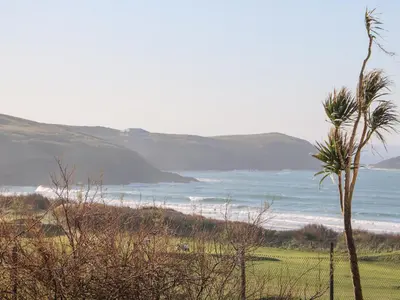 a palm tree sitting on top of a field next to the ocean at 5 Fistral Waves in Newquay