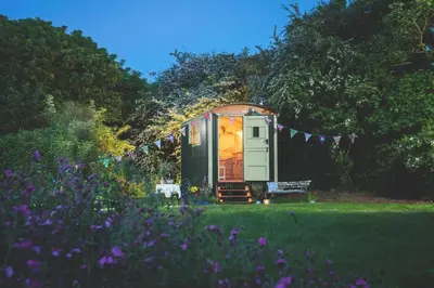 a tiny house in the middle of a garden at Elderflower Hut in Port Isaac