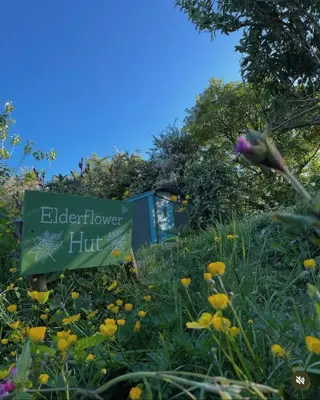 a sign in the middle of a field of flowers at Elderflower Hut in Port Isaac