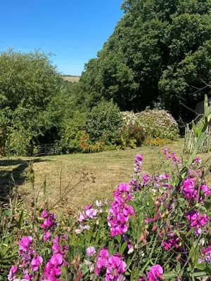 a garden with pink flowers in a field at Cornish country house by the coast near Fowey in Lanteglos