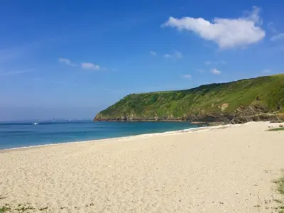 a sandy beach with the ocean in the background at Cornish country house by the coast near Fowey in Lanteglos