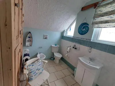 a bathroom with a toilet and a sink at Wild Air Guest House in Mevagissey