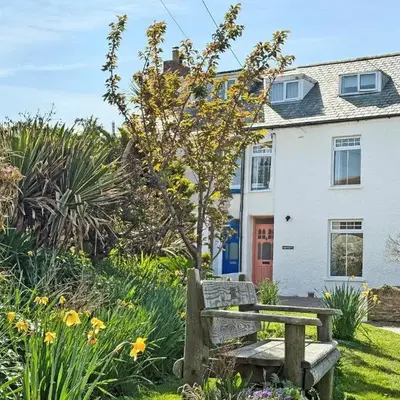 Greycott - Uk48746