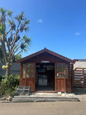 a small kiosk with a palm tree in front of it at Mounts Bay Caravan Park in Penzance