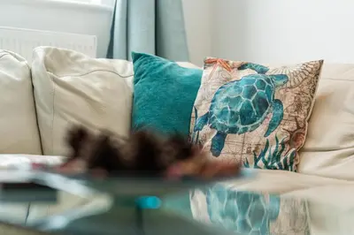a turtle pillow on a couch with a glass table at The White House in Wadebridge