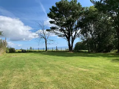 a field with two trees in the middle of it at Bream Loft, dog friendly, wood burner, walking distance to beach in Falmouth