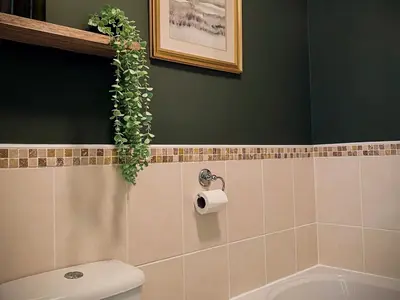 a bathroom with a toilet and a plant on the wall at Penkenna in Bude