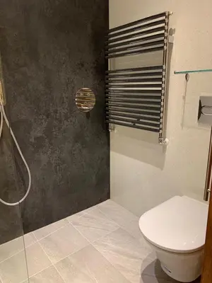 a bathroom with a toilet and a shower at Maypole Cottages No 10 Broad Street Padstow in Padstow
