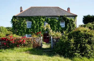 a house covered in ivy with a red door at Roskear Farm in Wadebridge