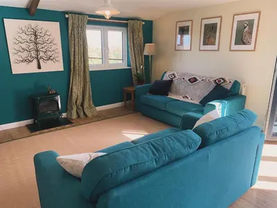 a living room with a blue couch and a fireplace at Field End in Liskeard