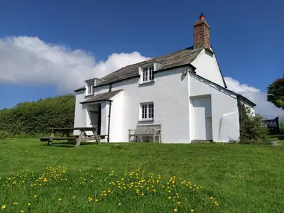 a white house with a bench in a field of flowers at Lower Tresmorn Cottage in Crackington Haven
