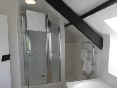 a bathroom with a shower and a sink at Lower Tresmorn Cottage in Crackington Haven