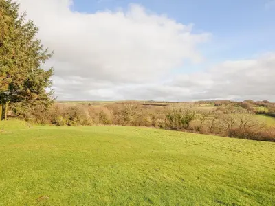 a field of green grass with a tree in the distance at The Dairy Barn in Camelford