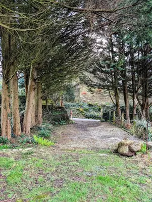 a path through a group of trees in a field at Ramble & Rye - The Nest in Talland