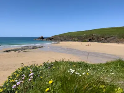 a beach with a bunch of flowers and the ocean at 3 Bed in St. Eval oc-k30666 in Saint Eval
