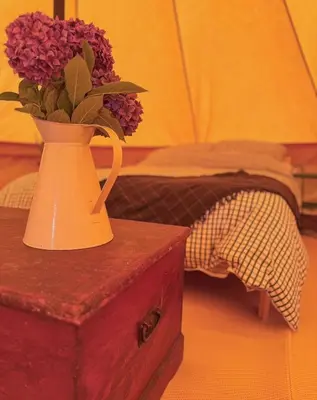 a vase filled with purple flowers sitting on a table at Furnished Bell Tent 4 in St Austell
