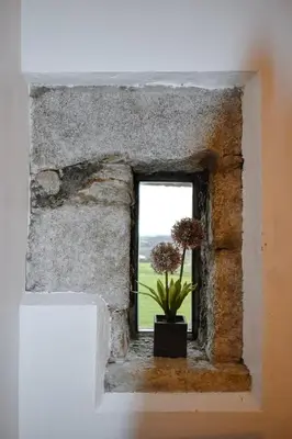 a window with a potted plant in a room at Seaview Stable Barn in Penryn