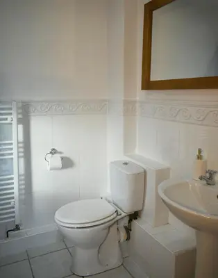 a white bathroom with a toilet and a sink at Seaview Stable Barn in Penryn
