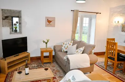 a living room with a couch and a tv at Seaview Stable Barn in Penryn