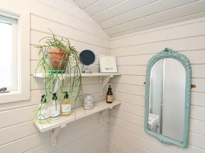 a bathroom with a mirror and plants on shelves at Teg in Helston