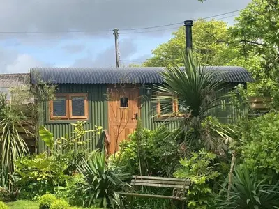 a green house with a wooden door in a garden at Lovely Shepherds hut near St Ives Cornwall in Gwinear Road Station