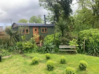 a green tiny house in a garden with a bench at Lovely Shepherds hut near St Ives Cornwall in Gwinear Road Station