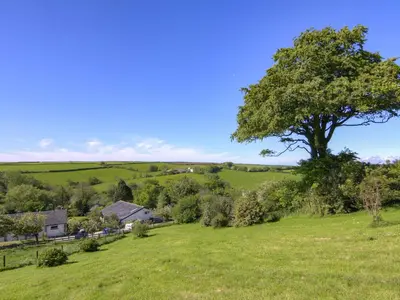 a tree in the middle of a green field at Culver Cottage - Uk48987 in Looe