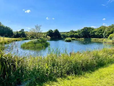 a river with grass and trees in the background at The Lake House , luxury rural retreat in Ladock