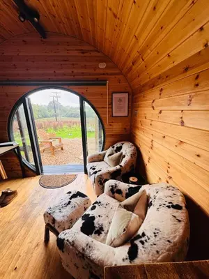 a room with couches in a wooden room with a window at Stargaze at OLJU Lodges in Stithians