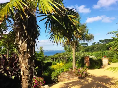 a palm tree and flowers in a garden at Lanteague Cornwall with stunning Sea Views in Gillan