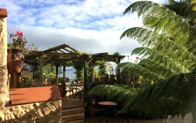 a garden with a wooden pergola and some plants at Lanteague Cornwall with stunning Sea Views in Gillan